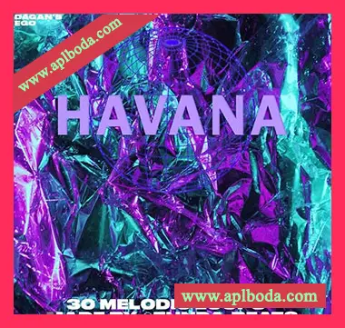 [氛围民族热带舞曲采样]@Zunda Beats Havana Loop Kit [WAV]（478Mb）