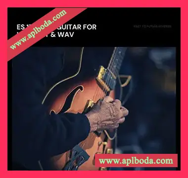 [爵士吉他音源]PastToFutureReverbs ES-175 Muted Jazz Guitar [KONTAKT, WAV]（294Mb）