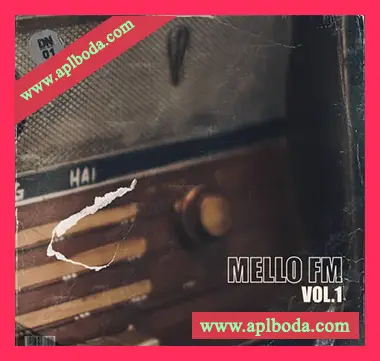 [灵魂RnB采样]Dusty Notes Music Library Mello FM Vol.1 (Compositions and Stems) [WAV]（503Mb）