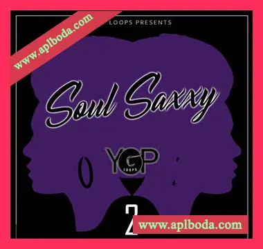 [爵士放克RnB现场萨克斯采样]Big Citi Loops Soul Saxxy 2 [WAV]（216Mb）