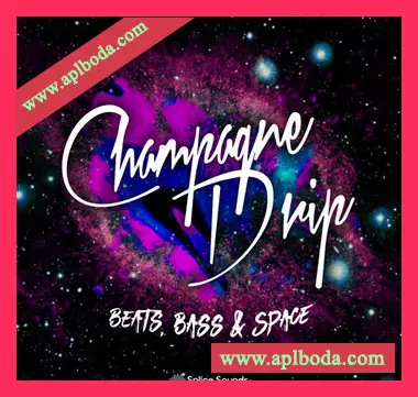 [Dubstep回响重拍采样Massive预置Serum预置]Splice Sounds Champagne Drip Beats Bass And Space（174Mb）