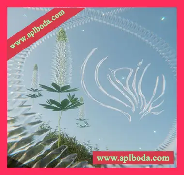 [环境氛围采样FL预置Ableton扩展]brood.esque 019 skye and 001 keys Lupine (PREORDER)（622Mb）