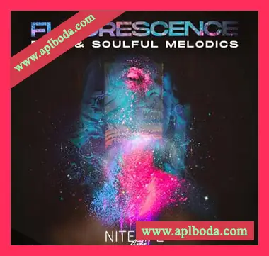 [氛围灵魂RnB深邃浩室采样]NITELIFE Audio Fluorescence Deep and Soulful Melodics [WAV]（363Mb）