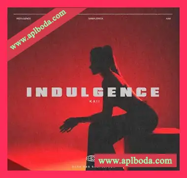 [灵魂RnB采样]Kaiiondabeat Indulgence by kaii [WAV]（159Mb）