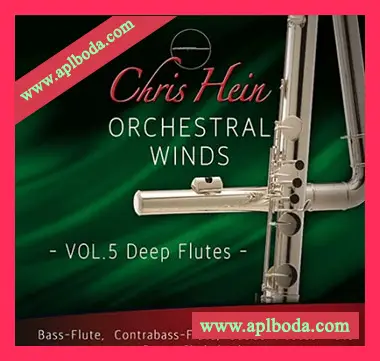 [长笛音源]Chris Hein Winds Vol.5 Deep Flutes [KONTAKT]（9.68Gb）
