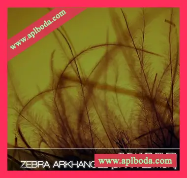[Zebra预置氛围驰放]The Unfinished Zebra Arkhangel Dark Edition（5Mb）