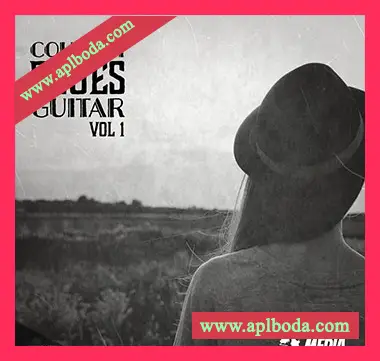 [乡村爵士布鲁斯吉他采样]New Beard Media Country Blue Guitars Vol.1 [WAV]（132Mb）