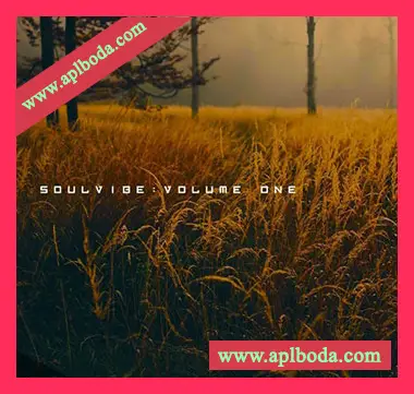 [氛围嘻哈采样]KAN Samples Soulvibe Vol.1 [WAV]（418Mb）
