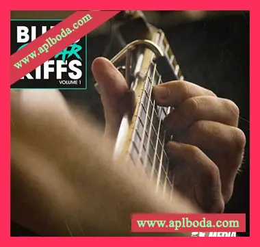 [民谣布鲁斯原声吉他采样]New Beard Media Blues Guitar Riffs Vol 1 [WAV]（198Mb）