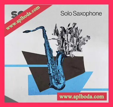 [迪斯科独奏萨克斯采样]Sonic Collective Solo Saxophone [WAV]（271Mb）