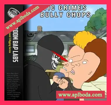 [Breaks采样]Boom Bap Labs Vic Grimes Bully Chops [WAV]（95Mb）