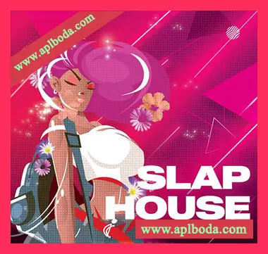 [SlapHouse采样]Smokey Loops Slap House [WAV]（334Mb）