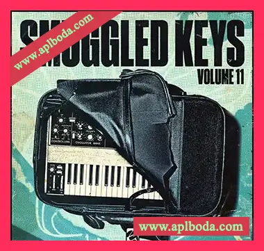 [怀旧影视采样]Smuggled Audio Smuggled Keys Vol.11 (Compositions) [WAV]（89Mb）