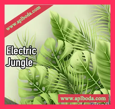 [氛围电子异国打击乐采样]AudioFriend Electric Jungle [WAV]（132Mb）
