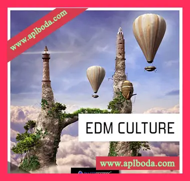 [流行电子舞曲素材]Pulsed Records EDM Culture [WAV, MiDi]（475Mb）