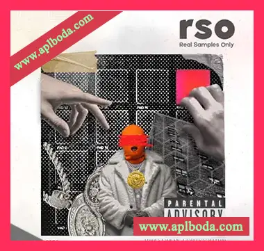 [嘻哈说唱采样]RSO Hard Drums For Boom Bap Vol.2 [WAV]（43Mb）
