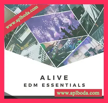 [EDM电子舞曲采样]The Audio Bar Alive EDM Essentials [WAV]（101Mb）