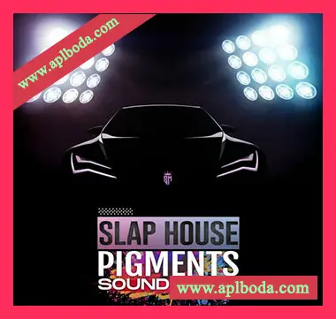[SlapHouse素材]Sound Mafia Slap House Pigments [多格式]（671Mb）
