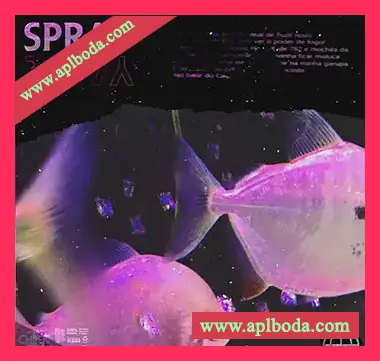 [嘻哈陷阱采样]CHEEK Spray [WAV]（76Mb）