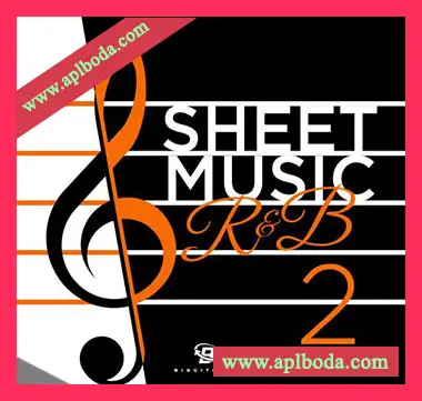 [RnB采样]Big Citi Loops Sheet Music RnB 2 [WAV]（119Mb）
