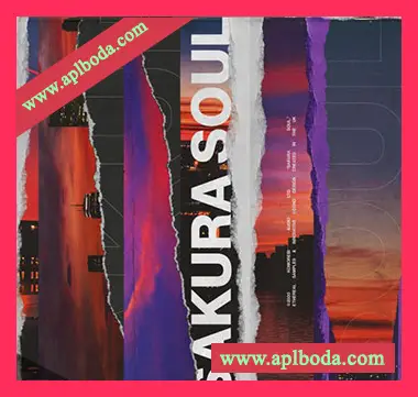 [灵魂嘻哈采样]Komorebi Audio Sakura Soul [WAV]（594Mb）