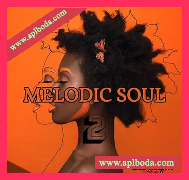 [灵魂RnB采样]Blissful Audio Melodic Soul 2 [WAV]（105Mb）