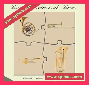 [铜管素材]Sampletekk BOB Brass [多格式]（676Mb）
