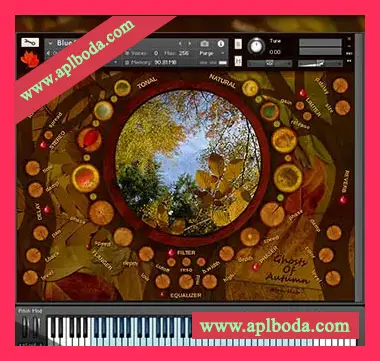 [黑暗环境音景氛围音源]Atom Hub Ghosts Of Autumn [KONTAKT]（1.3Gb）
