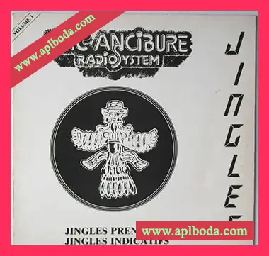 [DJ人声音效黑胶翻录采样]Eric Ancibure Radio System Jingles Volume 1 [WAV]（160Mb）