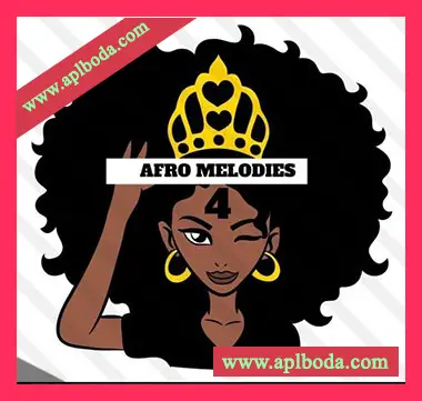[非洲节奏采样]HOOKSHOW Afro Melodies 4 [WAV]（34Mb）