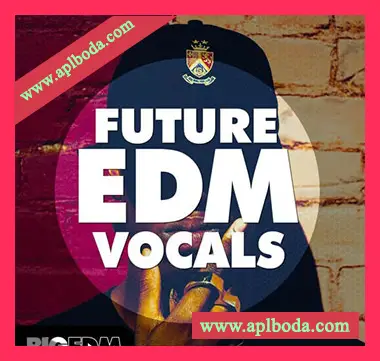 [EDM电子舞曲人声素材]Big EDM Future EDM Vocals [WAV, MiDi]（491Mb）