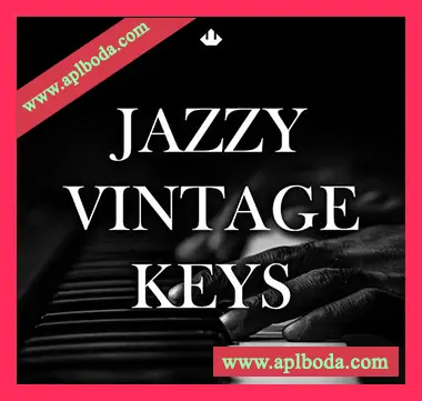[嘻哈RnB采样]Smemo Sounds Jazzy Vintage Keys [WAV]（75Mb）
