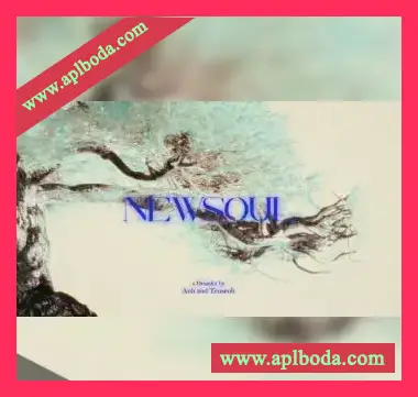 [电子乐采样]Anh & Tenseoh Newsoul X Newjazz Essentials Kit [WAV]（245Mb）