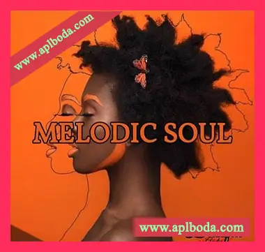 [灵魂RnB采样]Blissful Audio Melodic Soul [WAV]（31Mb）