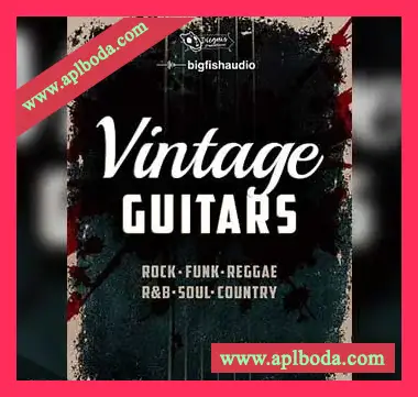 [复古吉他音源]Big Fish Audio Xtended Series Vintage Guitars [KONTAKT多格式]（5.56Gb）