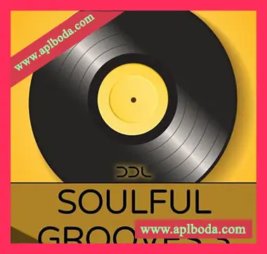 [灵魂RnB素材]Deep Data Loops Soulful Grooves 3 [WAV, MiDi]（533Mb）