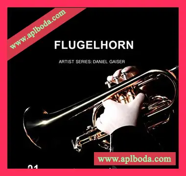 [粗管短号采样]Image Sounds Flugelhorn 1 [WAV]（456Mb）