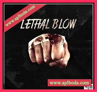 [打斗拳击音效FX采样]PMSFX Lethal Blow [WAV]（304Mb）