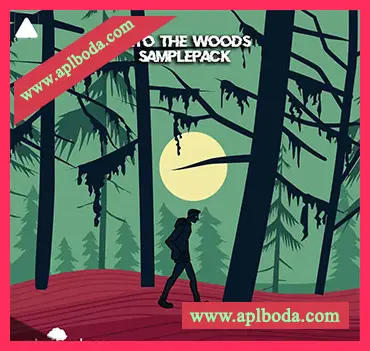 [奇幻贝斯采样]The Audio Bar Into The Woods [WAV]（121.09Mb）