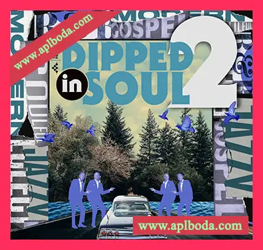 [流行放克灵魂RnB采样]MSXII Sound Dipped In Soul Vol.2 [WAV]（113Mb）