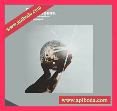 [迪斯科浩室采样]Samplestar Deep Disco House [WAV]（251Mb）