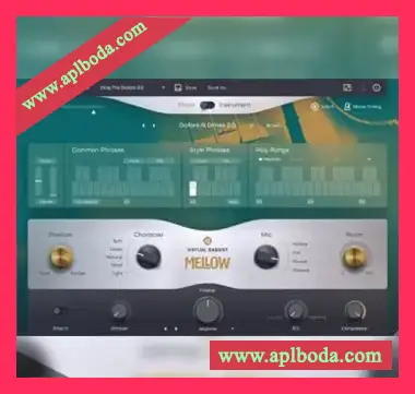 [Reason虚拟贝斯手音源插件-原声低音提琴]UJAM Virtual Bassist MELLOW v2.3.0 [WiN]（2.39Gb）