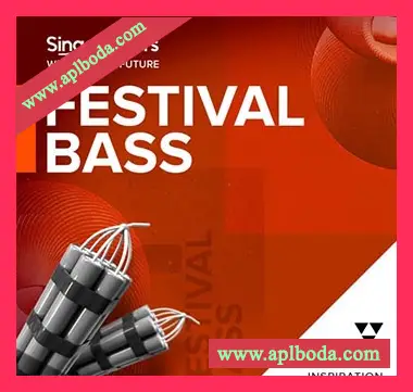 [前卫浩室电子舞曲素材]Singomakers Festival Bass [多格式]（874Mb）