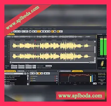 [数字音频处理专家]Acon Digital Acoustica v7.2.8 [WiN, MacOSX]（397Mb）