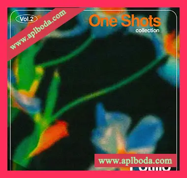 [RnB采样]Potillo One Shot Collection Vol.2 [WAV]（397Mb）