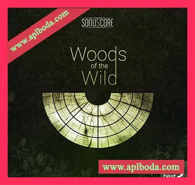 [管弦乐音源]Best Service TO Woods Of The Wild [KONTAKT]（5.69Gb）