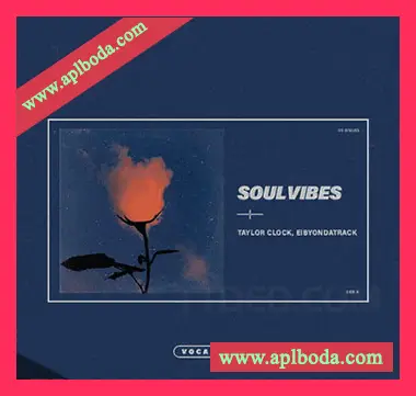[灵魂嘻哈RnB人声采样]Eibyondatrack x Taylor Clock Soul Vibes (Vocal Kit) [WAV]（25Mb）