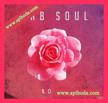 [灵魂RnB采样]Godlike Loops Rnb Soul Roses [WAV]（94Mb）