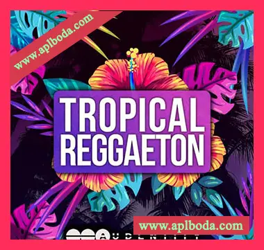 [流行拉丁休闲舞曲素材+Sylenth1预置Serum预置]Audentity Records Tropical Reggaeton [WAV, MiDi]（464Mb）