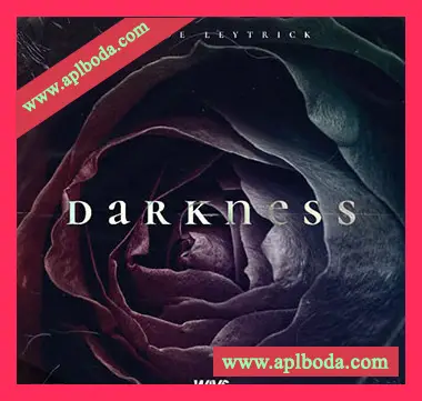 [摇滚吉他采样]Joe Leytrick Darkness Guitar Kit [WAV]（58Mb）